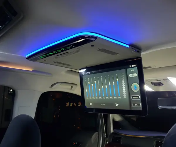 Ceiling Screen Drive Module